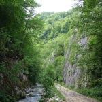 cheile_ribicioarei1