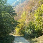 cheile_ribicioarei2