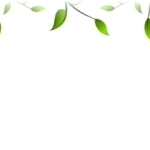 decor-ramuri