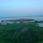 dsc00685