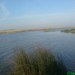 dsc00689