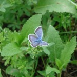 dsc06306