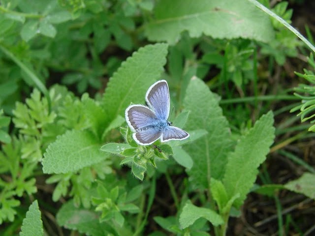dsc06306