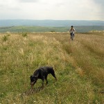 fcj_08082010_145455_034_1