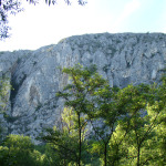 homeCheileTurzii5