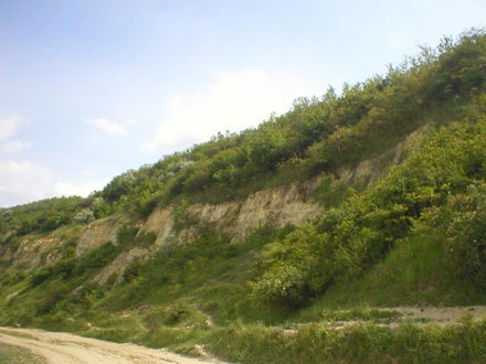 locul_fosilifer_aliman_resize