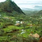 magurile-sacarambului_5077e1f0e5ef1