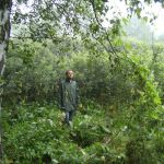 mlastina_borsaros_005