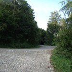padurea_uricani2