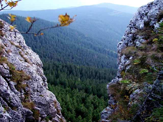piatra-pinului-si-piatra-soimului-5