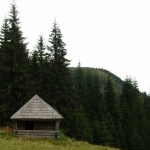 ponorul_izei