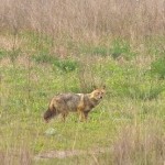 poza-4199_2