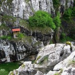 rezervatia-naturala-cheile-taia