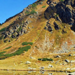 rezervatia-pietrosu-mare-muntii-rodnei-10