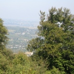 rezervatia_baiceni2