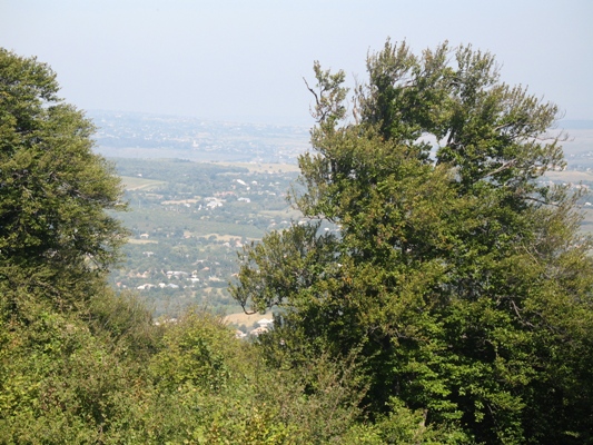 rezervatia_baiceni2