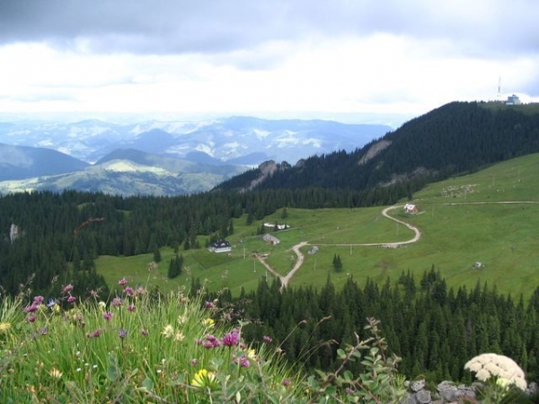 rezervatia_fanetele_seculare_de_la_frumoasa