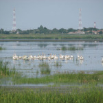romania-bistret-1
