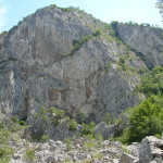 zona_v_n_taria