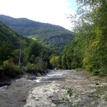 DSC02180