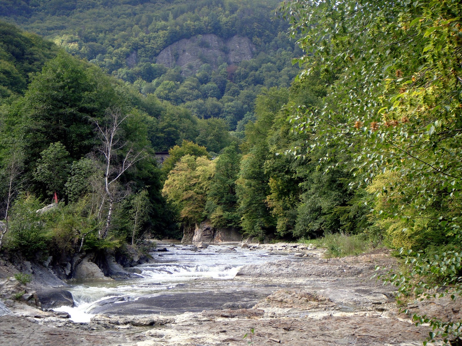 DSC02181