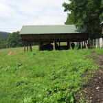Parcul_Natural_Vânători_Neamţ