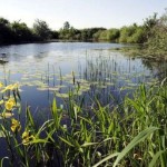 Rezervatia-naturala-Raul-Tur-20110216164619