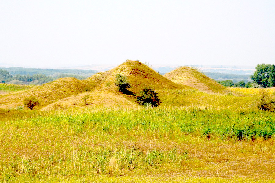 Suta-de-movile