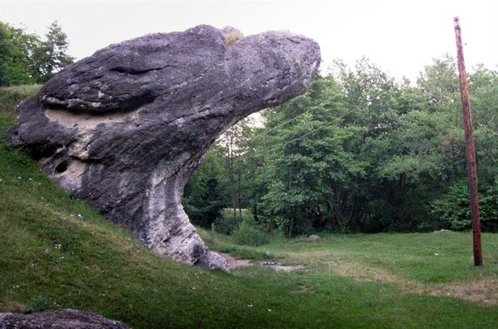calcarele-cu-hippuri-i-de-la-cisn-dioara-719