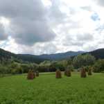 rezervatia_vanatori