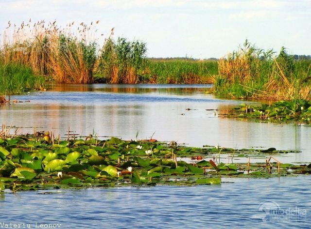 7826_lacul-nebunu