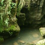 AP10_img_1
