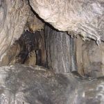 AP21_img_1
