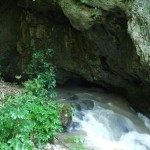 Izbucul-Cotetul-Dobrestilor-20101111142313