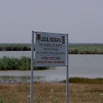 Lacul-Rodeanu-(Glodeanu)-20110208213058
