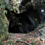 Pestera-Ciur-Ponor-20101202123912