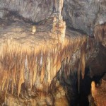 Rezervatia-Naturala-Pestera-Comana-20110114153745