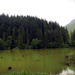 lacu-rosu