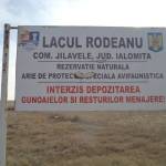 lacul-rodeanu-3