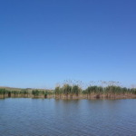 lacul_dunareni_resize