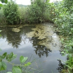 lacul_rat
