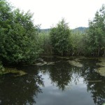 lacul_rat4