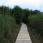 lacul_rat_porumbeni012