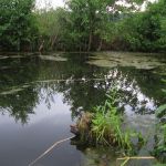 lacul_rat_porumbeni013
