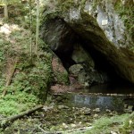 pestera_buhui4