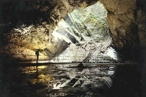 pestera_getarul_vartop09