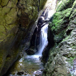 rezervatia-izvorul-albastru-al-izei-muntii-rodnei-11