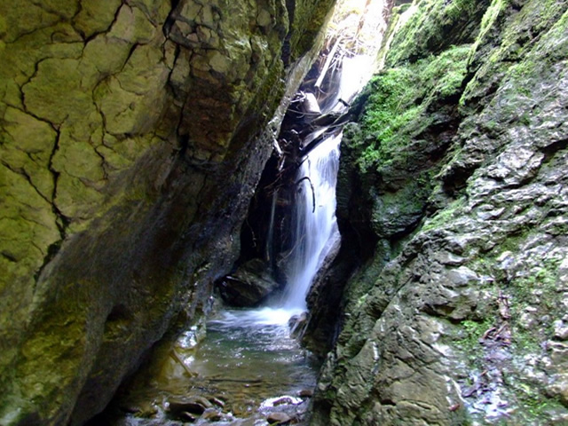 rezervatia-izvorul-albastru-al-izei-muntii-rodnei-11