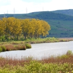rezervatia-naturala-lacul-stiucii-2