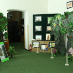 01-muzeu-stiinte-naturale-roman